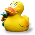 Flower Duck Flower Duck