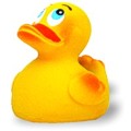 Classic Duck Classic Duck