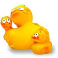 Mama Duck Mama Duck
