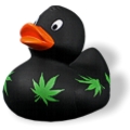 Badeente Marihuana Badeente Marihuana