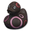 Mini-Quietscheente Loops Duck Mini-Quietscheente Loops Duck