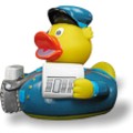 Bade Ente Zeitungspaule Bade Ente Zeitungspaule