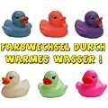 Badeente farbwechselnd - 3er Set Badeente farbwechselnd - 3er Set